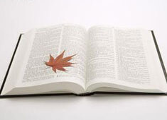 拜仁主场遭波尔图逼平，无缘欧冠四强：足球世界的意外与挫折