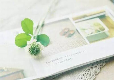 拜仁主场遭波尔图逼平，无缘欧冠四强：足球世界的意外与挫折