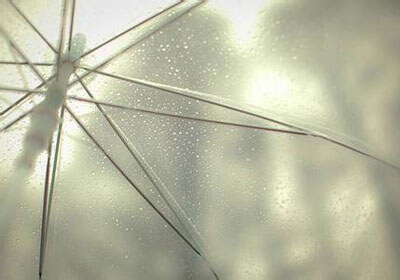 关于篮球运动员的最新动态和个人表现