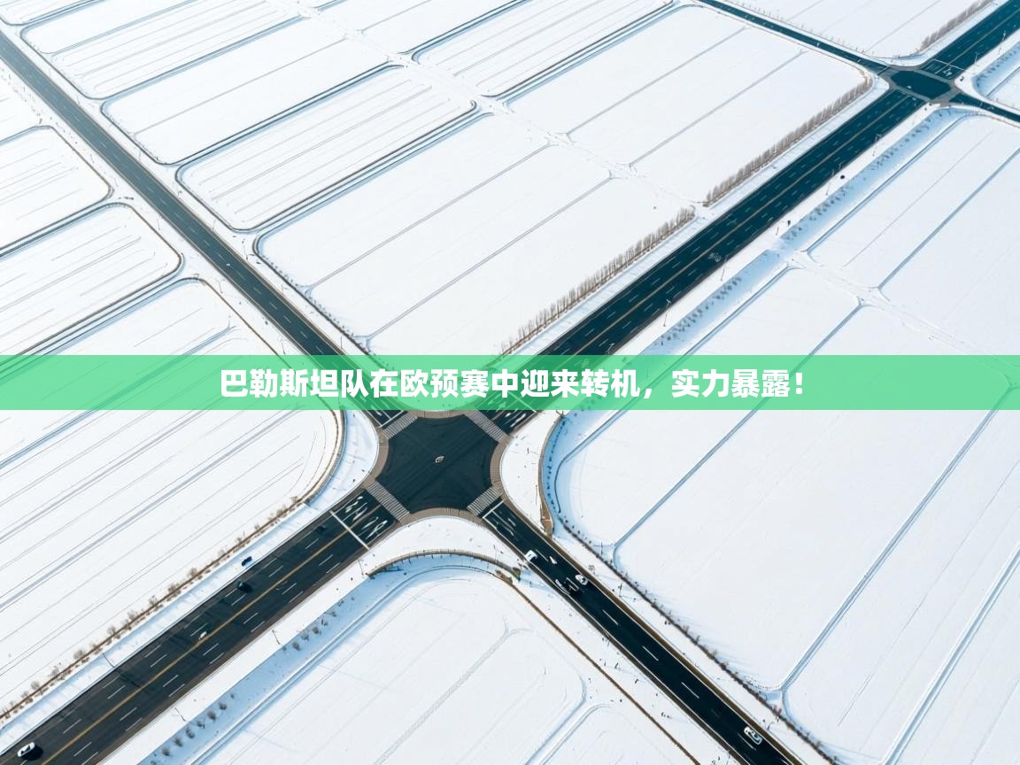 巴勒斯坦队在欧预赛中迎来转机，实力暴露！  第2张